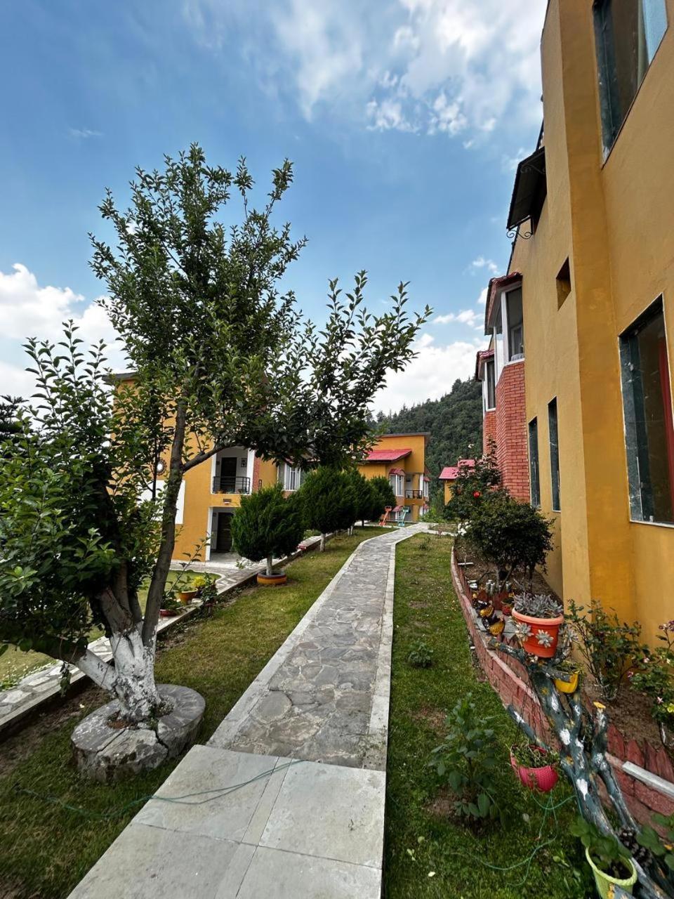 Mist n Meadows Resort Rājgarh Zewnętrze zdjęcie